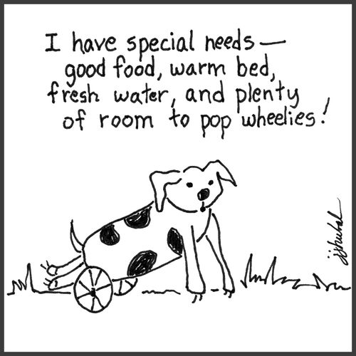 "I have special needs-- good food, warm bed, fresh water, and plenty of room to pop wheelies!"