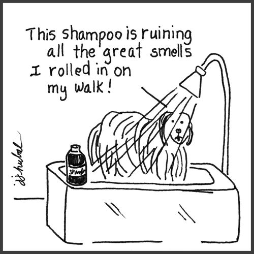 "This shampoo is ruining all the great smells I rolled in on my walk!"
