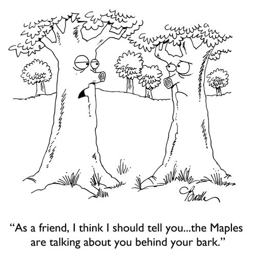 "As a friend, I think I should tell you...the Maples are talking about you behind your bark."