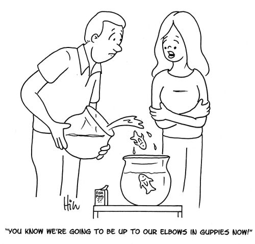 "You know we're going to be up to our elbows in guppies now!"