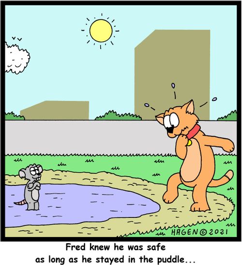 Fred knew he was safe as long as he stayed in the puddle...