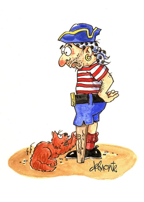 Cat scratches on Pirate