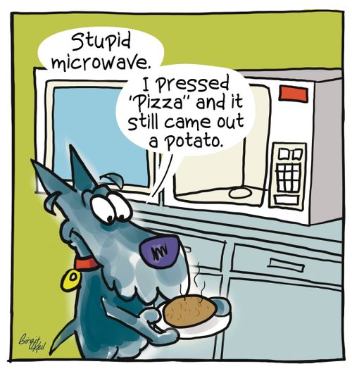 Stupid Microwave