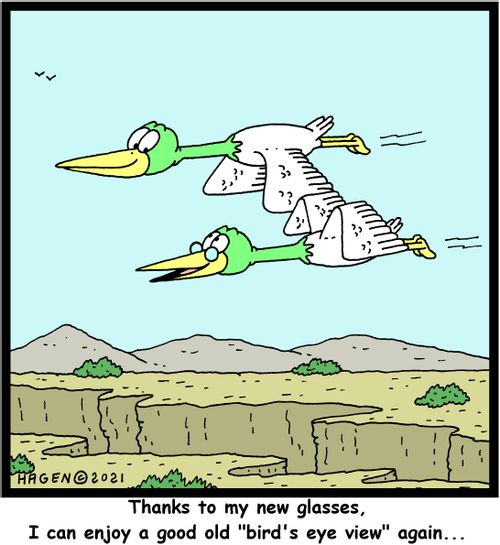 "Thanks to my new glasses, I can enjoy a good old "bird's eye view" again..."