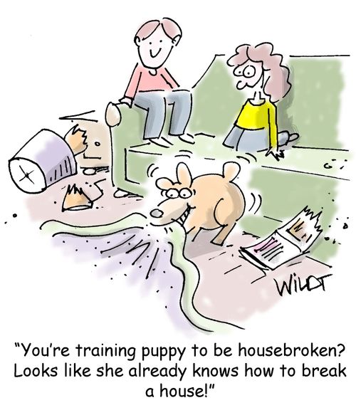 "You're training puppy to be housebroken? Looks like she already knows how to break a house!"