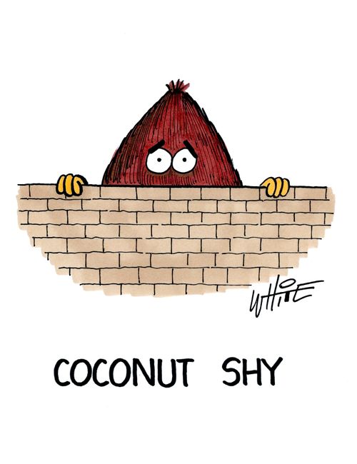 Coconut shy...