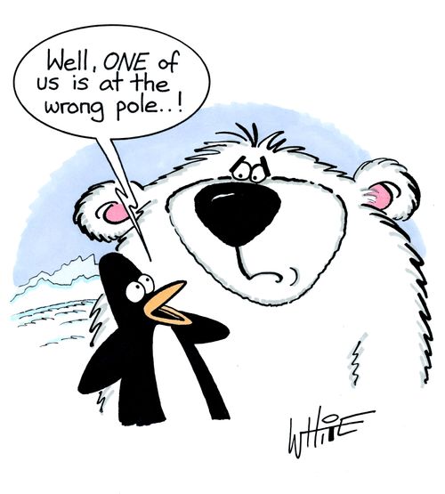 "Well, ONE of us is at the wrong pole..!"