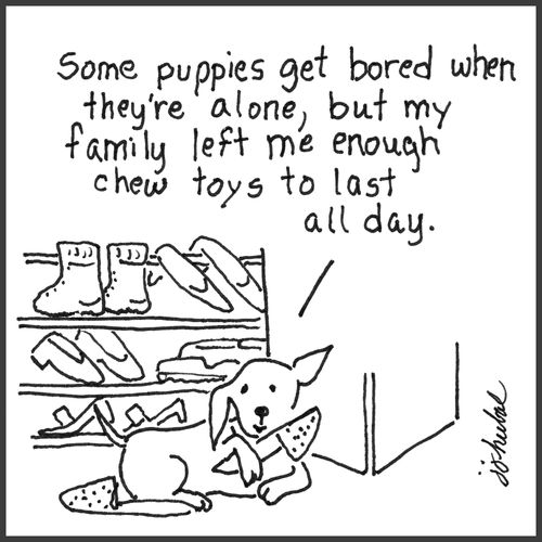 "Some puppies get bored when they're alone, but my family left me enough chew toys to last all day."