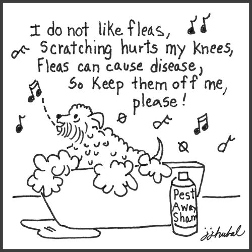 "I do not like fleas, Scratching hurts my knees, Fleas can cause disease, So keep them off me, please!"