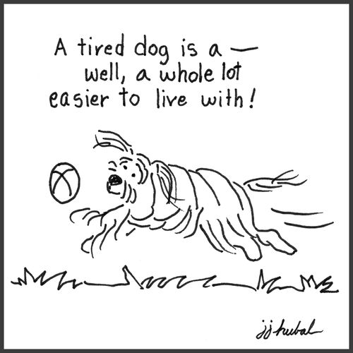 "A tired dog is a – well, a whole lot easier to live with!"