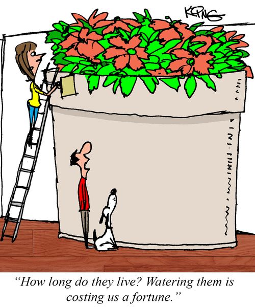 "How long do they live? Watering them is costing us a fortune."