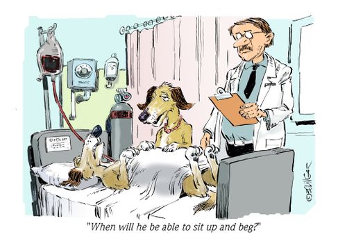 "When will he be able to sit up and beg?"
