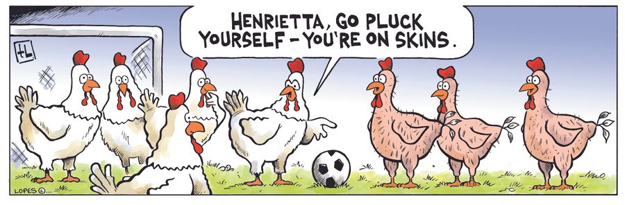 "Henrietta, go pluck yourself - you're on skins."