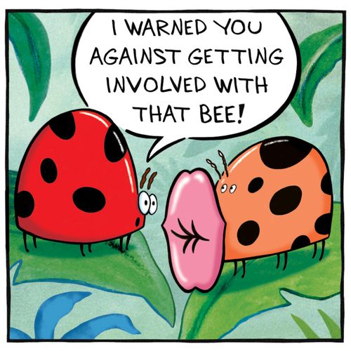 "I warned you against getting involved with that bee!"
