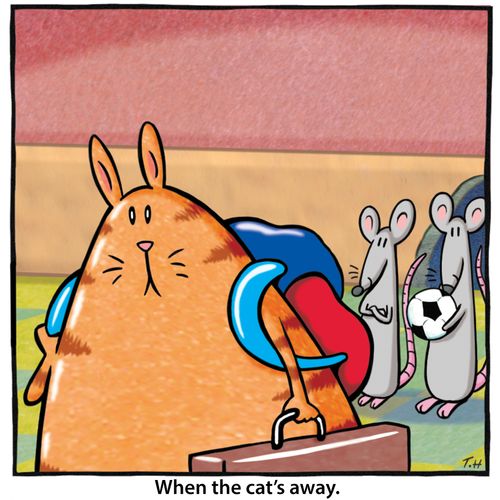 When the cat's away.