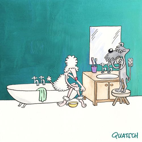 Dogs shaving