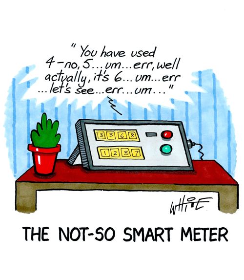 The Not-So Smart Meter