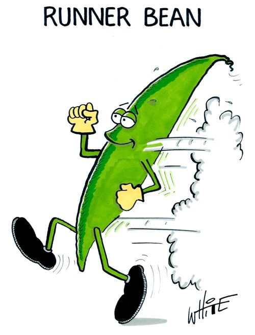 Runner Bean...