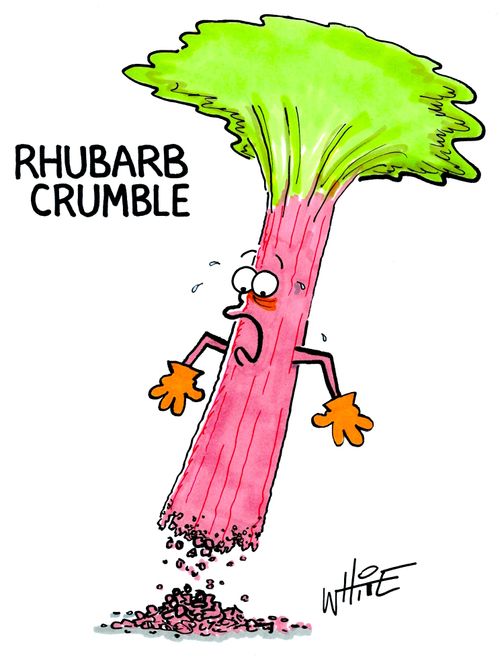 Rhubarb Crumble...