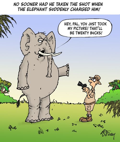 No sooner had he taken the shot when the elephant suddenly charged him!