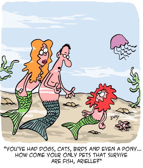 "You've had dogs, cats, birds and even a pony. . . how come your only pets that survive are fish, Arielle?"