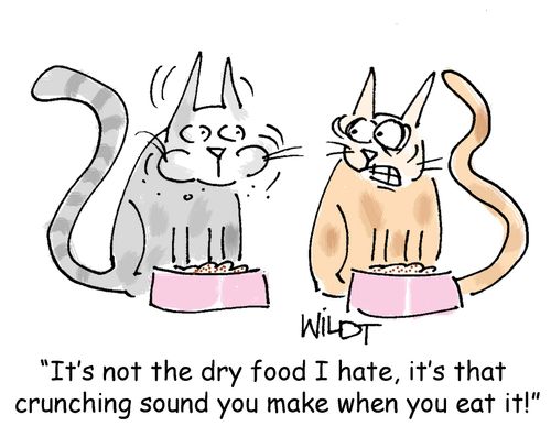 "It's not the dry food I hate, it's that  crunching sound you make when you eat it!"