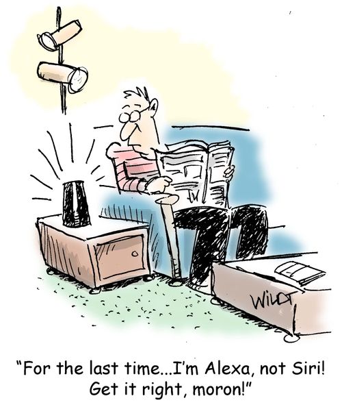 "For the last time...I'm Alexa, not Siri! Get it right, moron!"