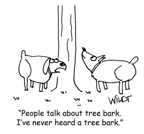 "People talk about tree bark. I've never heard a tree bark."