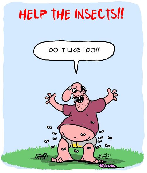 Help the Insects!