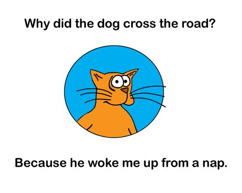 Why did the dog cross the road? Because he woke me up from a nap.