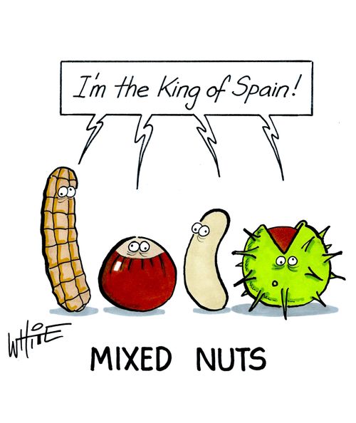 Mixed Nuts