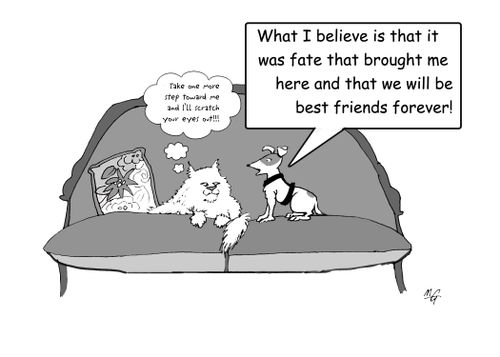 "What I believe is that it was fate that brought me here and that we will be best friends forever!"