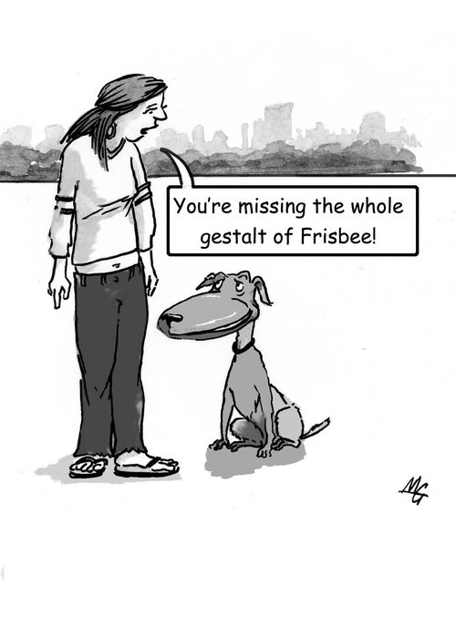 "You're missing the whole gestalt of Frisbee!"