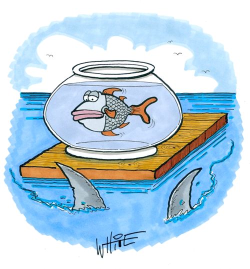 Goldfish bowl on raft...