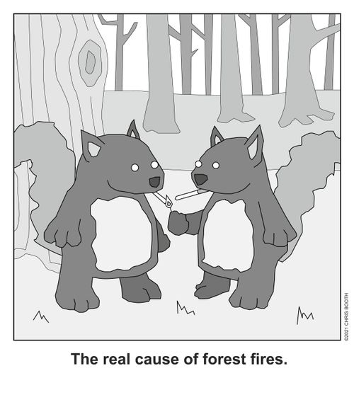 The real cause of forest fires