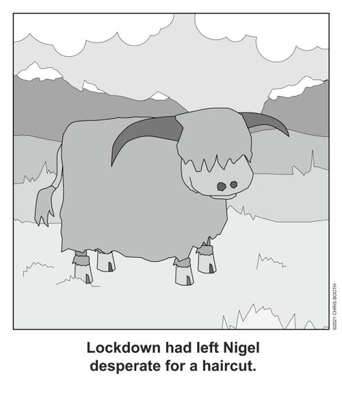 Lockdown had left Nigel desperate for a haircut.