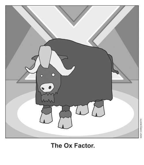 The Ox Factor