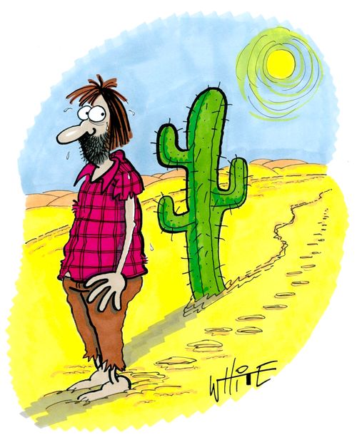 Followed by a cactus...