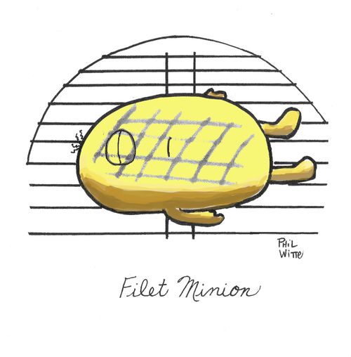 Filet minion