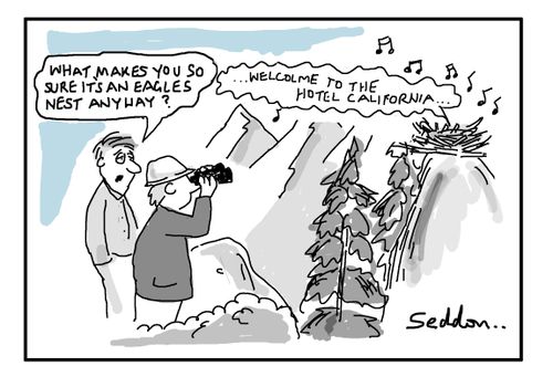 "What makes you so sure that it's an eagles nest anyway?"