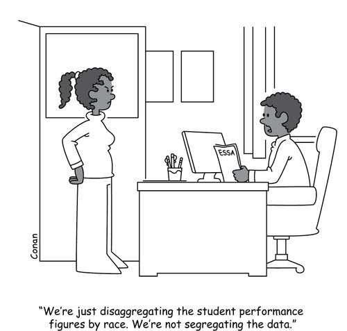 ESSA Disaggregate Statistics