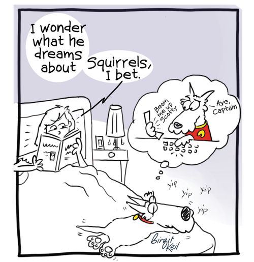 "I wonder what he dreams about...Squirrels I bet."