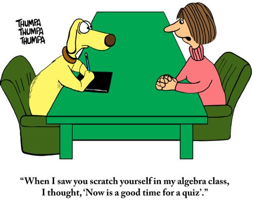 "When I saw you scratch yourself in my algebra class, I thought, 'Now is a good time for a quiz'."
