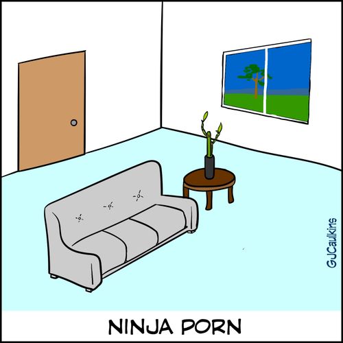 Ninja Porn