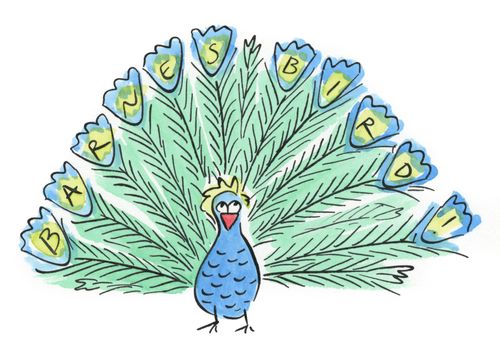 Barnes Bird
