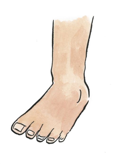 Foot