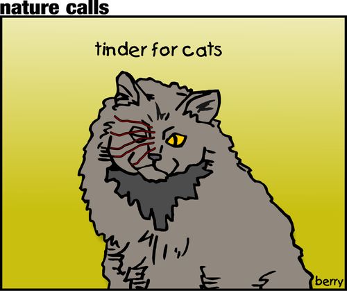 Tinder for Cats