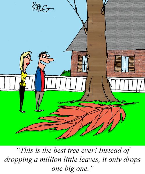 "This is the best tree ever! Instead of dropping a million little leaves, it only drops one big one."