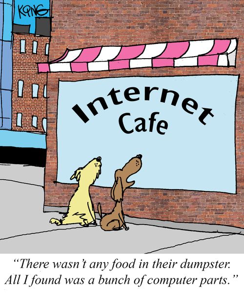  "There wasn't any food in their dumpster. All I found was a bunch of computer parts."