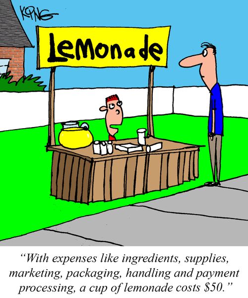 "With expenses like ingredients, supplies, marketing, packaging, handling and payment processing, a cup of lemonade costs $50."